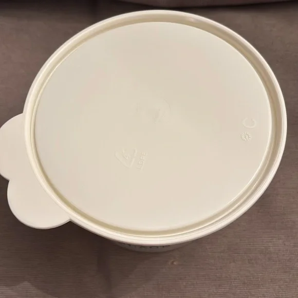 Beekman 1802 Tupperware Plastic Container with Lid - Picture 5 of 6